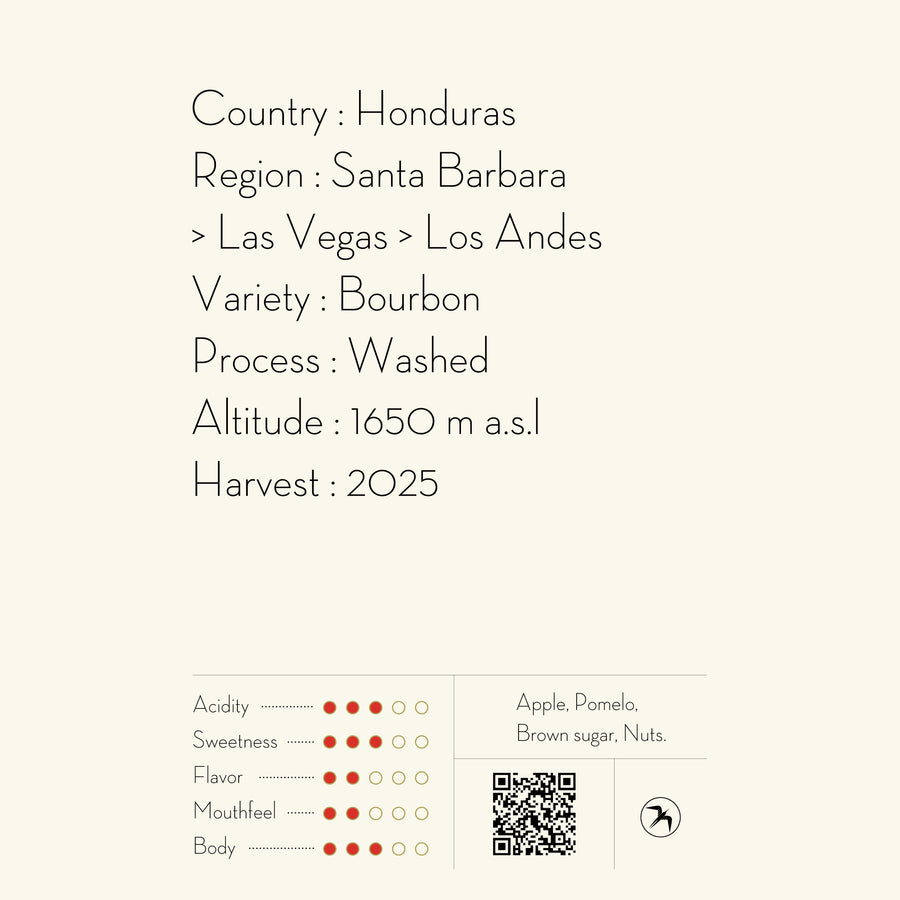 【NEW】MARIO MORENO / HONDURAS