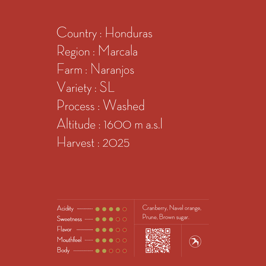 【NEW】DRIP BAG Marysabel Caballero "Naranjos"