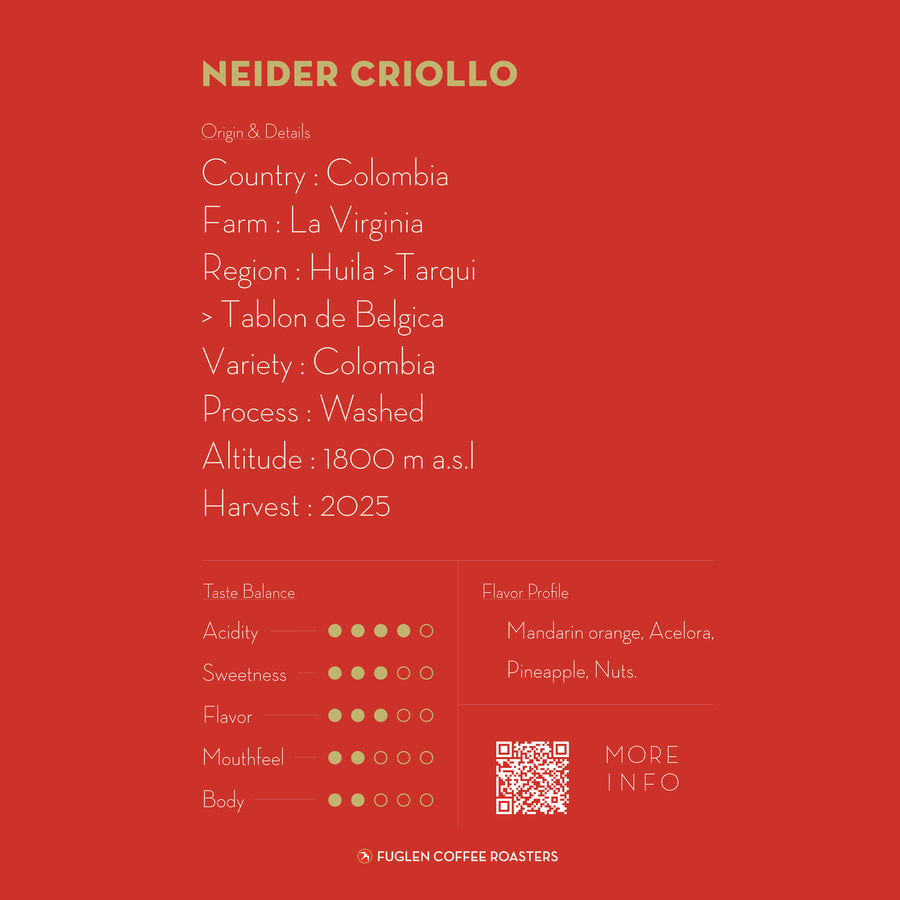【NEW】DRIP BAG / NEIDER CRIOLLO, COLOMBIA