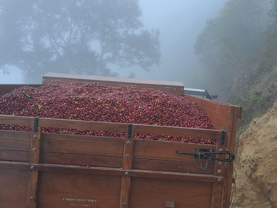 【NEW】LOS CRESTONES / COSTA RICA