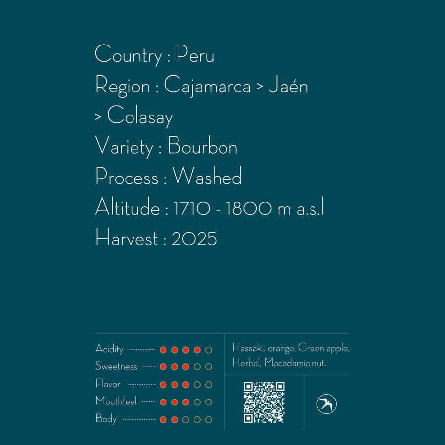 【NEW】YONAL FERNANDEZ / PERU