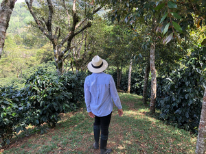 CABALLERO ESPRESSO / HONDURAS