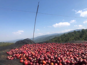 KARAMO / ETHIOPIA