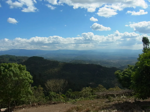 【NEW】MARIA GORETI / HONDURAS