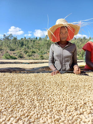 GOGUGU / ETHIOPIA